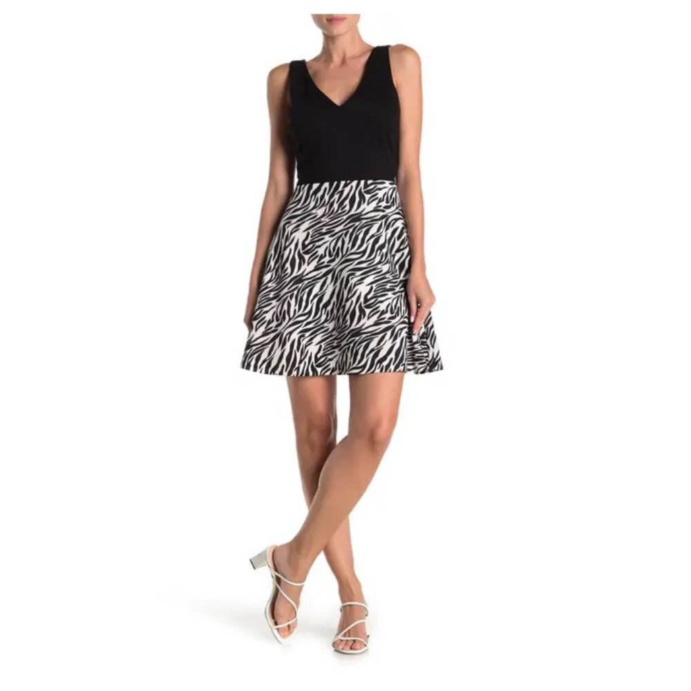 🎁 Love...Ady Colorblock Zebra Skater Dress